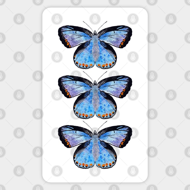 European common blue - British Butterflies Sticker by AnitasArtStore